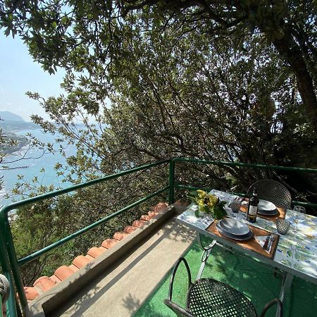 Le Dimore Di Zaro - Green Paradise Forio  Ngoại thất bức ảnh